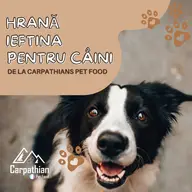 Mancare ieftină pentru bănosul tău