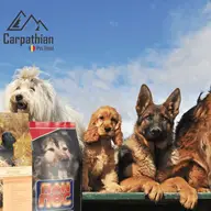 Mâncare pentru câini - Carpathians Pet Food