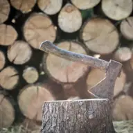 Sfaturi de la Tomibena: cum să alegi lemnele de foc pentru o căldură durabilă și constantă