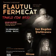 Flautul Fermecat