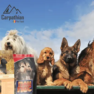 Mâncare pentru câini - Carpathians Pet Food