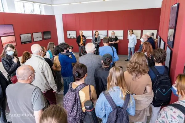 Expoziția „I-auzi corbii”