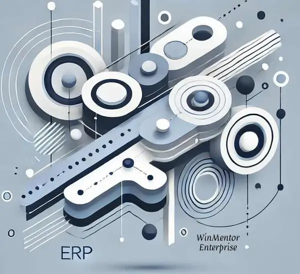 20 de avantaje importante ale WinMentor Enterprise