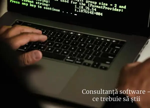 Care sunt beneficiile unei consultanțe software pentru o companie