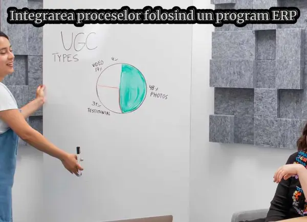 Integrarea proceselor folosind un program ERP