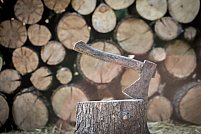 Sfaturi de la Tomibena: cum să alegi lemnele de foc pentru o căldură durabilă și constantă